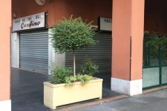 Fase 2 Castellanza (5)