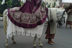 palio-legnano-vivilanotizia-12