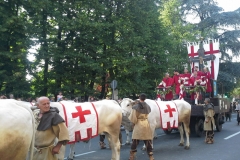 palio-legnano-vivilanotizia-7