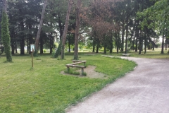 Parco Castello Vivilanotizia (5)