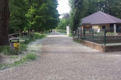 Parco Castello Vivilanotizia (25)