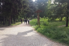 Parco Castello Vivilanotizia (32)