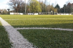 Scuola-calcio-Olgiatese-Vivilanotizia (1)