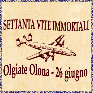 Disastro-aereo-olgiate-vivilanotizia-1