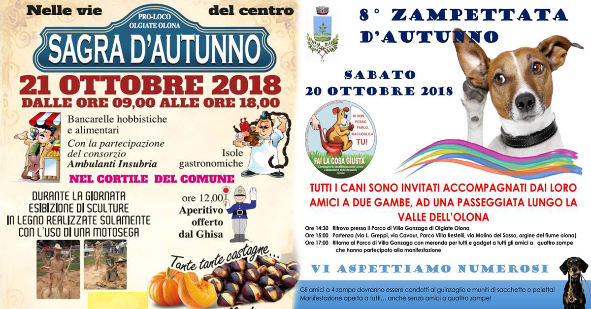 Sagra-autunno-Olgiate-Olona-vivilanotizia- 2