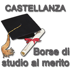 borsa-di-studio-al-merito-vivilanotizia 1