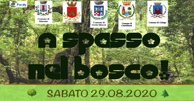 A spasso nel bosco-vivilanotizia