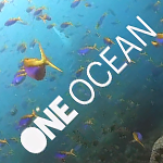 One Ocean-1vivilanotizia