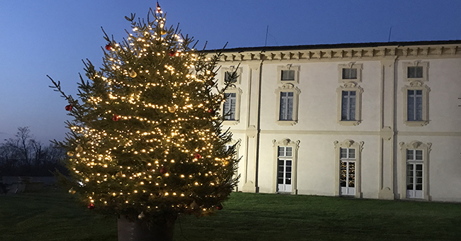 Albero villa arconati-vivilanotizia