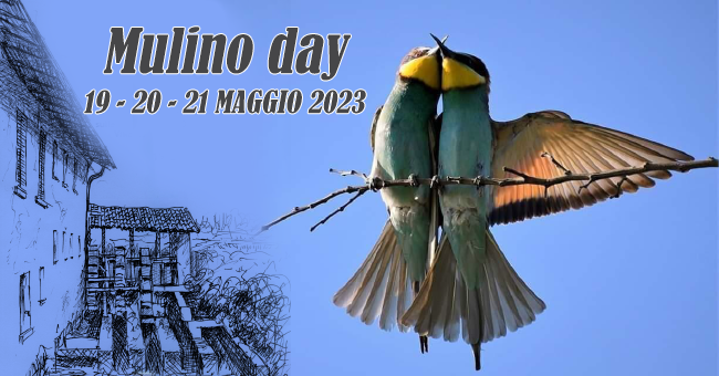 Mulino day-vivilanotizia