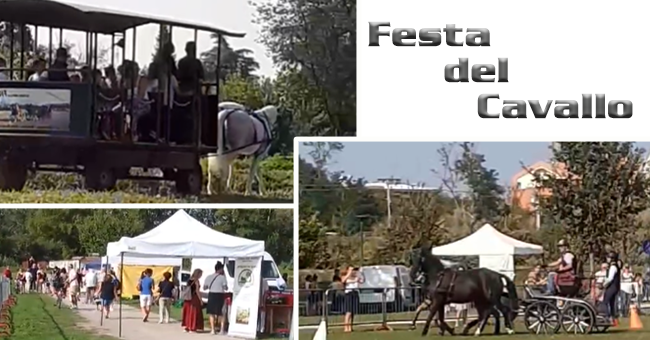 Festa del Cavallo-vivilanotizia