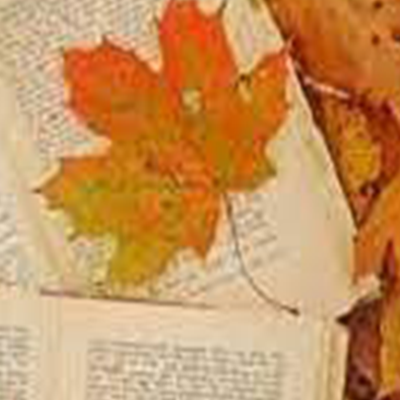 Autunno di libri-1vivilanotizia